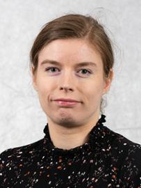 Birgit Agerskov Andersen, Compliancemedarbejder